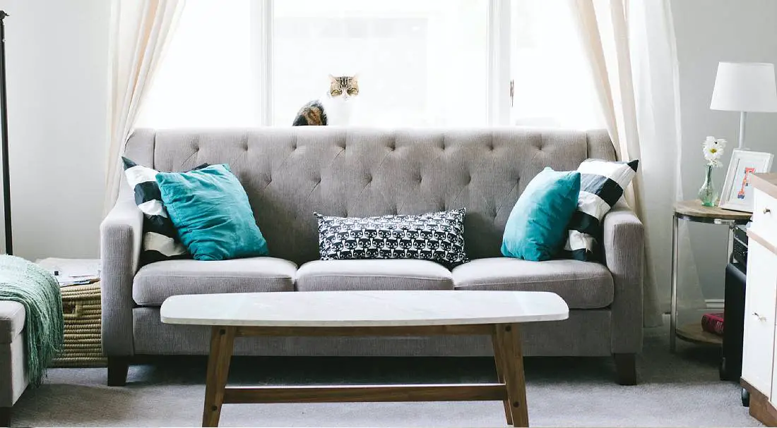 Best sofas under $300