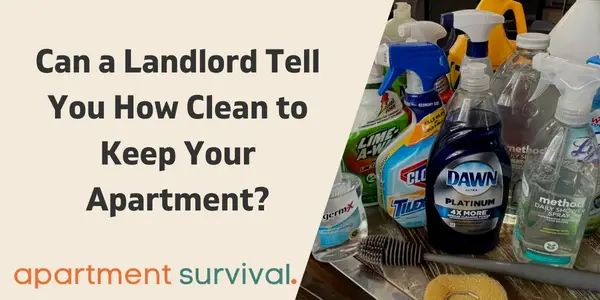 Can a Landlord Tell You How Clean to Keep Your Apartment